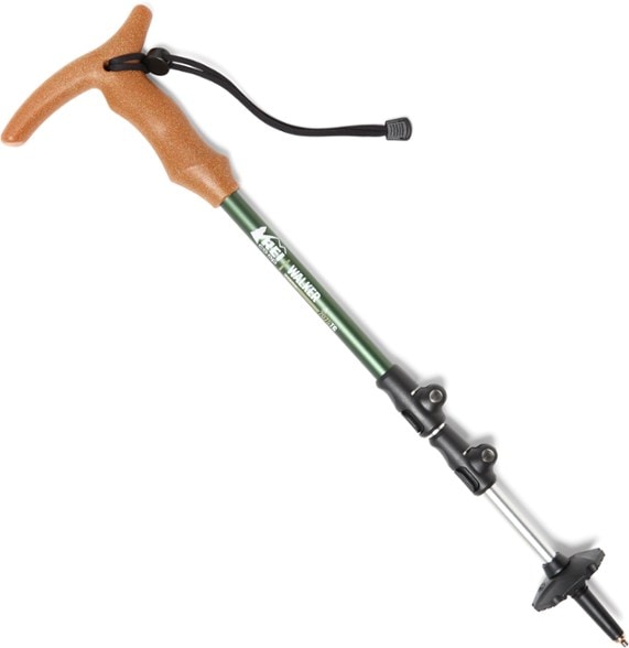 Close-up of TrailMaster Pro collapsible trekking pole showing ergonomic cork handle and cam lock mechanism
