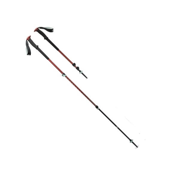 Side view of eco-friendly trekking poles with foam grips on a hiking trail.