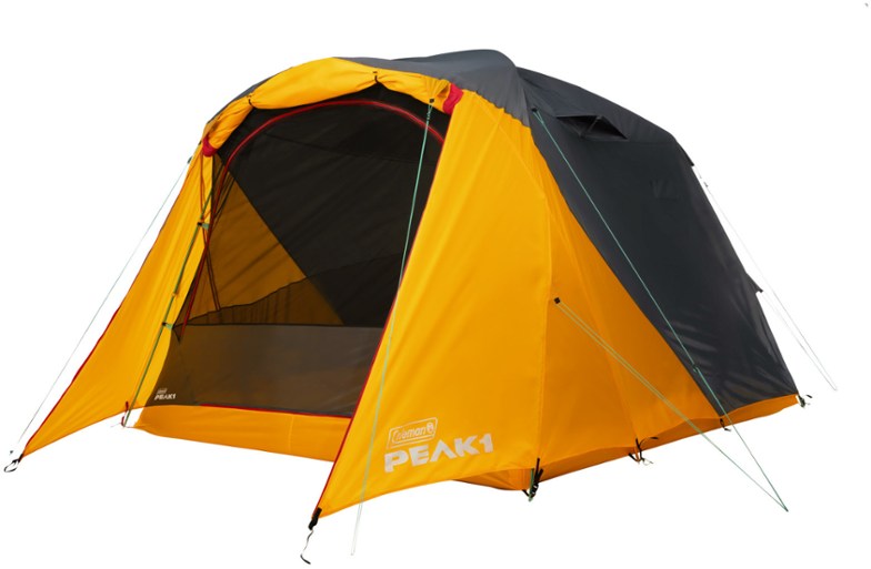 Interior view of the PEAK1 6-person dome tent showcasing space for families.