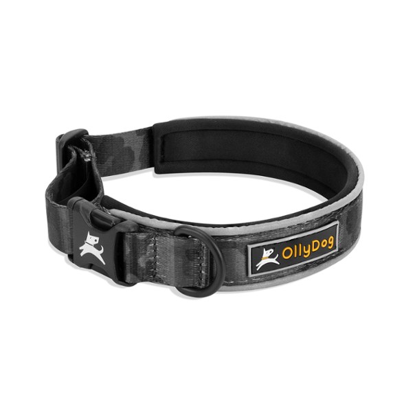Close-up view of the Flagstaff reflective dog collar showcasing its padded neoprene layer and adjustable features.
