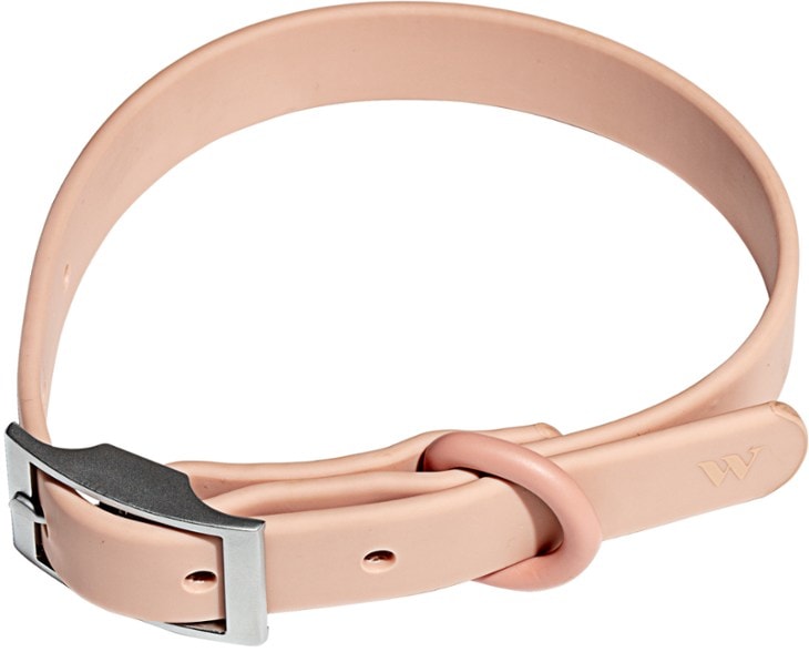 Close-up of waterproof dog collar with sturdy buckle and coated nylon strap